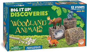 Woodland Animals Discoveries